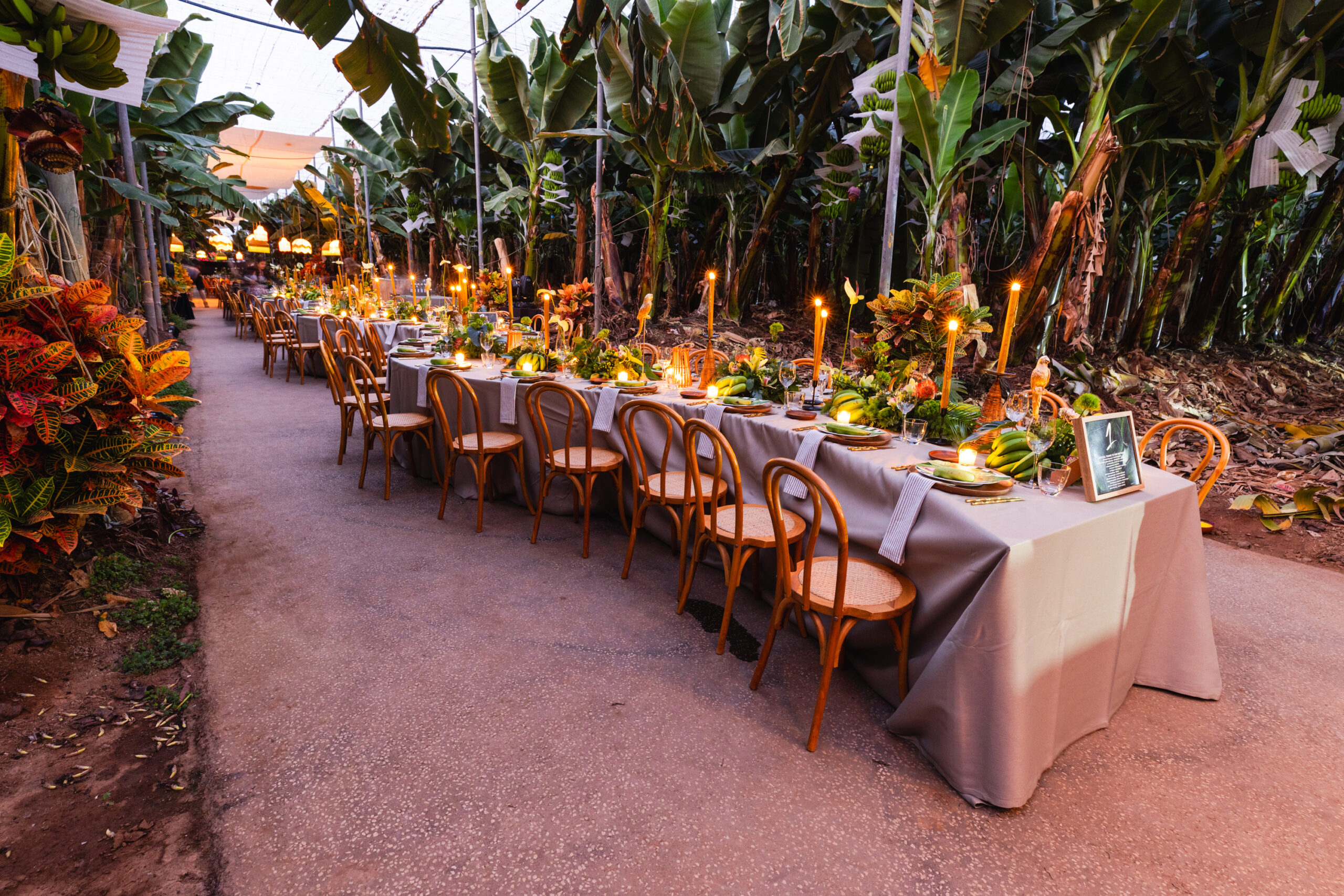 RSVP simpozij na Tenerifima
