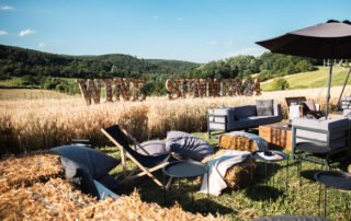 Wine Summer 2024